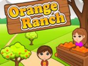 Jwèt Ranch zoranj sou entènèt