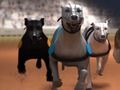 Jwèt Greyhound kous  sou entènèt