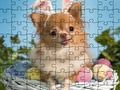 Jwèt Devinèt tèt: Doggies  sou entènèt