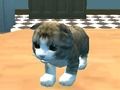 Jwèt Cat similatè: Kitty Craft!  sou entènèt
