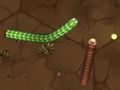 Jwèt Ti krasbigsnake sou entènèt