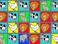 Jwèt Bèt sirèt Zoo  sou entènèt