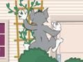 Jwèt Tom ak Jerry: toupatou nan dlo a  sou entènèt