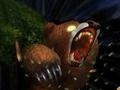 Jwèt 3D Bear ante  sou entènèt