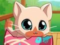 Jwèt Pòch bèt kay Kitty Kitty mwen  sou entènèt