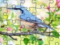 Jwèt Devinèt devinèt: prentan  sou entènèt
