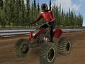 Jwèt Kous motosiklèt kwadwilatè  sou entènèt
