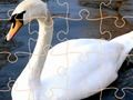 Jwèt Swan devinèt defi  sou entènèt