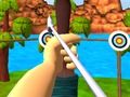 Jwèt Fiziyad Archery Mèt  sou entènèt