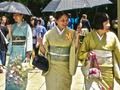 Jwèt 100 papiyon nan Japon  sou entènèt