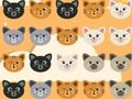 Jwèt Cute Kitty Koresponn ak 3  sou entènèt