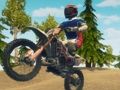 Jwèt Pousyè tè bisiklèt kous Enduro  sou entènèt