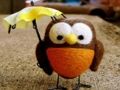 Jwèt Cute devinèt chwèt  sou entènèt
