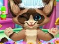 Jwèt Beny chat sou entènèt