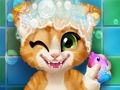 Jwèt Rusty ti chat beny sou entènèt
