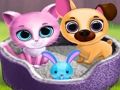 Jwèt Zanmi bèt kay cute  sou entènèt