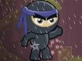 Jwèt Nwa Ninja  sou entènèt