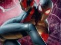 Jwèt Spider nonm choute  sou entènèt