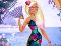 Jwèt Bikini abiye  sou entènèt