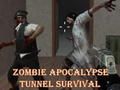 Jwèt Zonbi Apocalypse Tinèl siviv  sou entènèt
