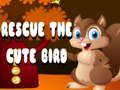 Jwèt Sekou zwazo a cute  sou entènèt