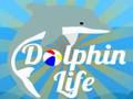 Jwèt Lavi Dolphin  sou entènèt
