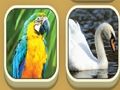 Jwèt Koresponn ak Zoo  sou entènèt