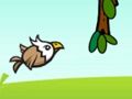 Jwèt Eagle fou!  sou entènèt