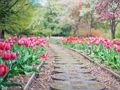 Jwèt Sou entènèt jwèt Pathway Jigsaw  sou entènèt