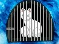 Jwèt Sou entènèt jwèt Snow Fox chape  sou entènèt