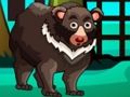 Jwèt Sou entènèt jwèt Bear chape  sou entènèt