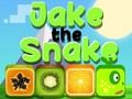Jwèt Sou entènèt jwèt Jake koulèv la  sou entènèt