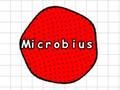 Jwèt Microbius sou entènèt