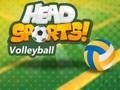 Jwèt Download jwèt la Head Espò Volleyball  sou entènèt