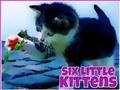 Jwèt Sis ti chat  sou entènèt