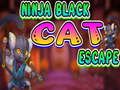 Jwèt Sou entènèt jwèt Ninja chat nwa chape  sou entènèt