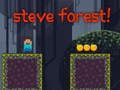 Jwèt Steve Forest sou entènèt