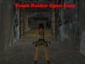 Jwèt Tomb Raider Open Lara sou entènèt