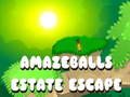 Jwèt Sou entènèt jwèt Amazeballs Estate chape  sou entènèt