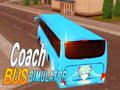 Jwèt Vil antrenè otobis similatè  sou entènèt