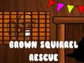 Jwèt Sou entènèt jwèt Brown ekirèy sekou  sou entènèt
