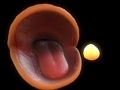 Jwèt Pac-Man sou entènèt