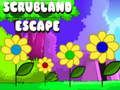 Jwèt Sou entènèt jwèt Scrubland chape  sou entènèt