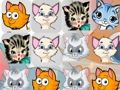 Jwèt Ti chat Match3  sou entènèt