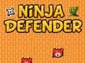 Jwèt Defansè Ninja  sou entènèt