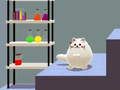 Jwèt Doub chat Schrödinger a  sou entènèt