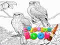 Jwèt Liv koloran pou granmoun  sou entènèt