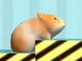 Jwèt Amstè Pou konfime  sou entènèt