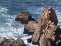 Jwèt Devinèt chak jou  sou entènèt