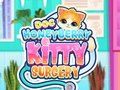 Jwèt Doc HoneyBerry Kitty Operasyon  sou entènèt